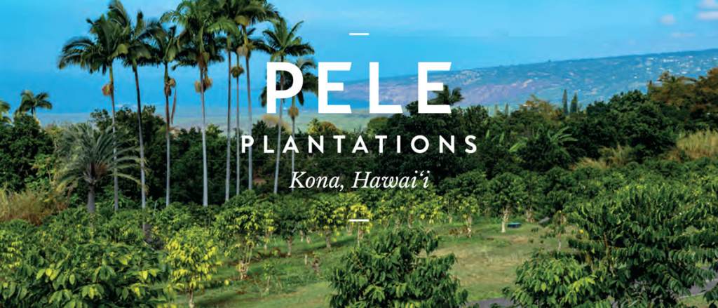 Amazing Coffee Farm Tour Kona&nbsp;Package