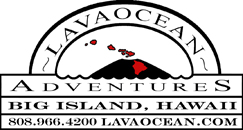 48+ Hilo Volcano Boat Tours Package