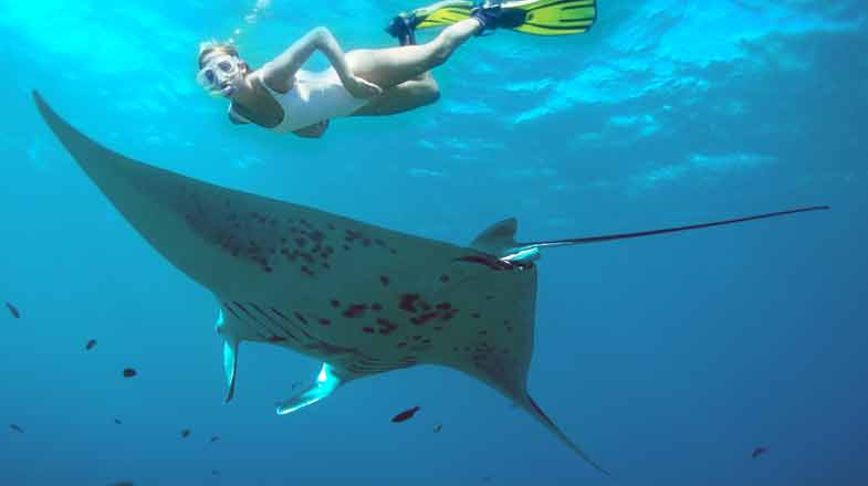 Best Big Island Tours And Activities&nbsp;Packages