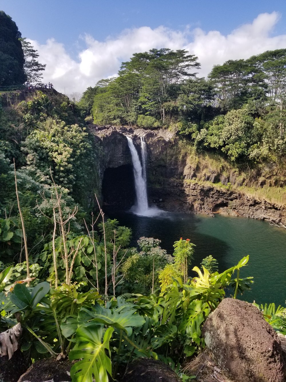 Amazing Coffee Plantation Big Island Tour&nbsp;Packages