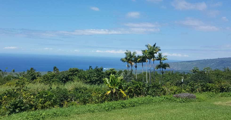 Hawaii Coffee Plantation Tours&nbsp;Package