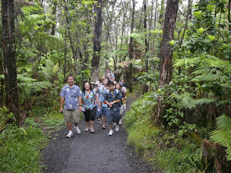 35+ Private Tour Big Island Hawaii Packages