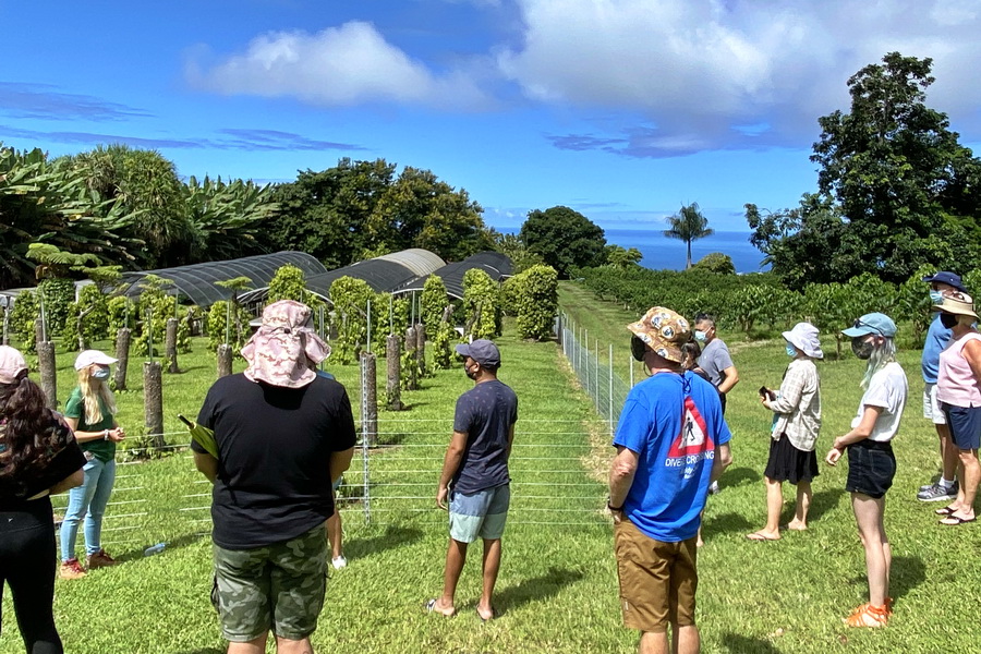 48+ Best Coffee Tours Kona Hawaii Packages