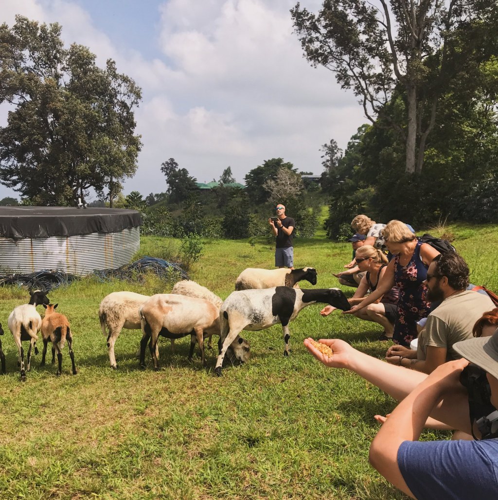 24+ Best Coffee Plantation Tour&nbsp;Kona