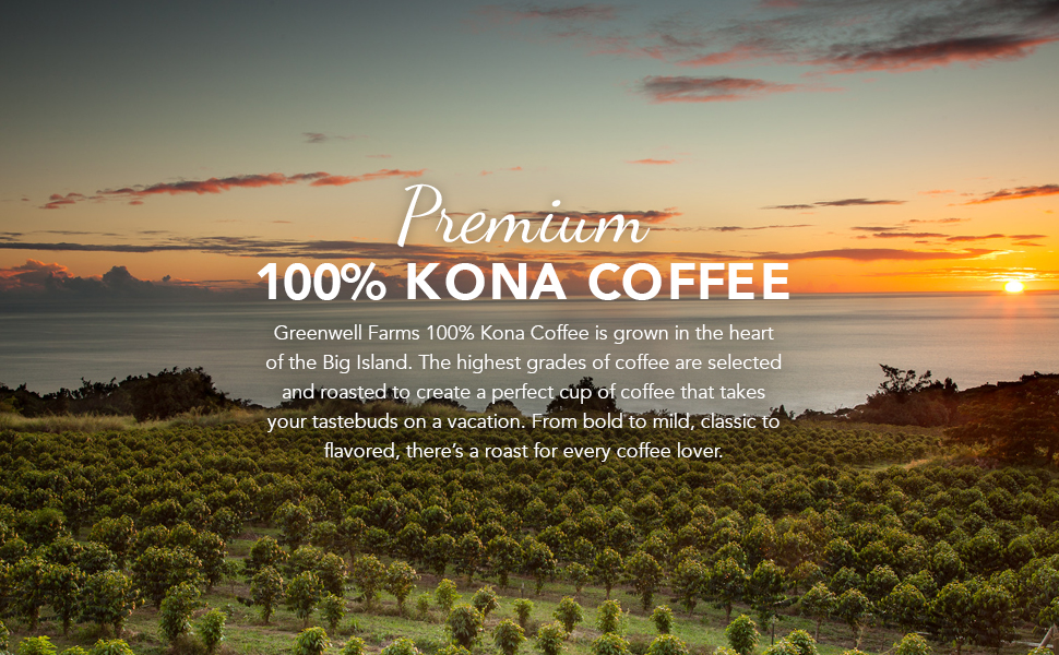 Exploring Big Island Coffee Plantation Package