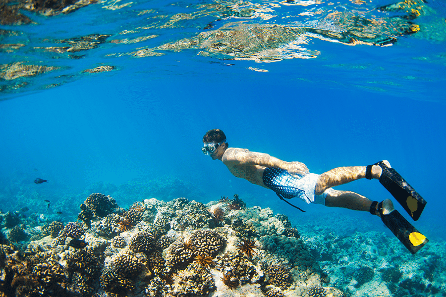 Snorkeling Trips On The Big Island Of Hawaii&nbsp;Package