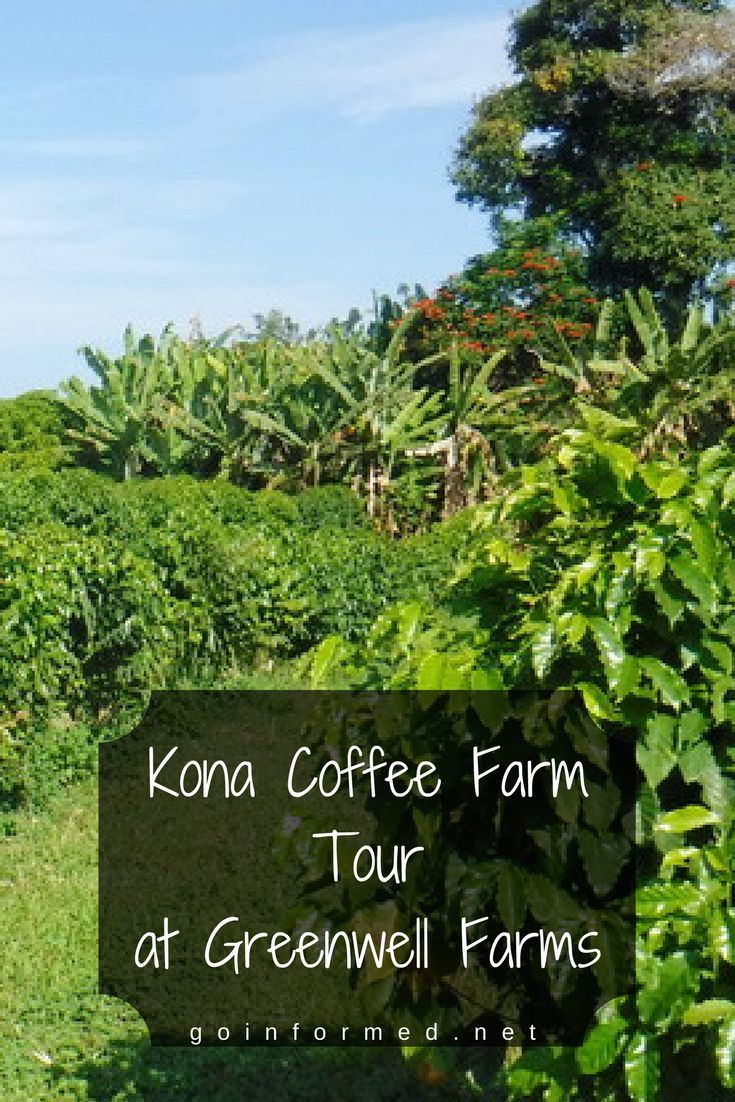 Amazing Big Island Hawaii Coffee Tours&nbsp;Package