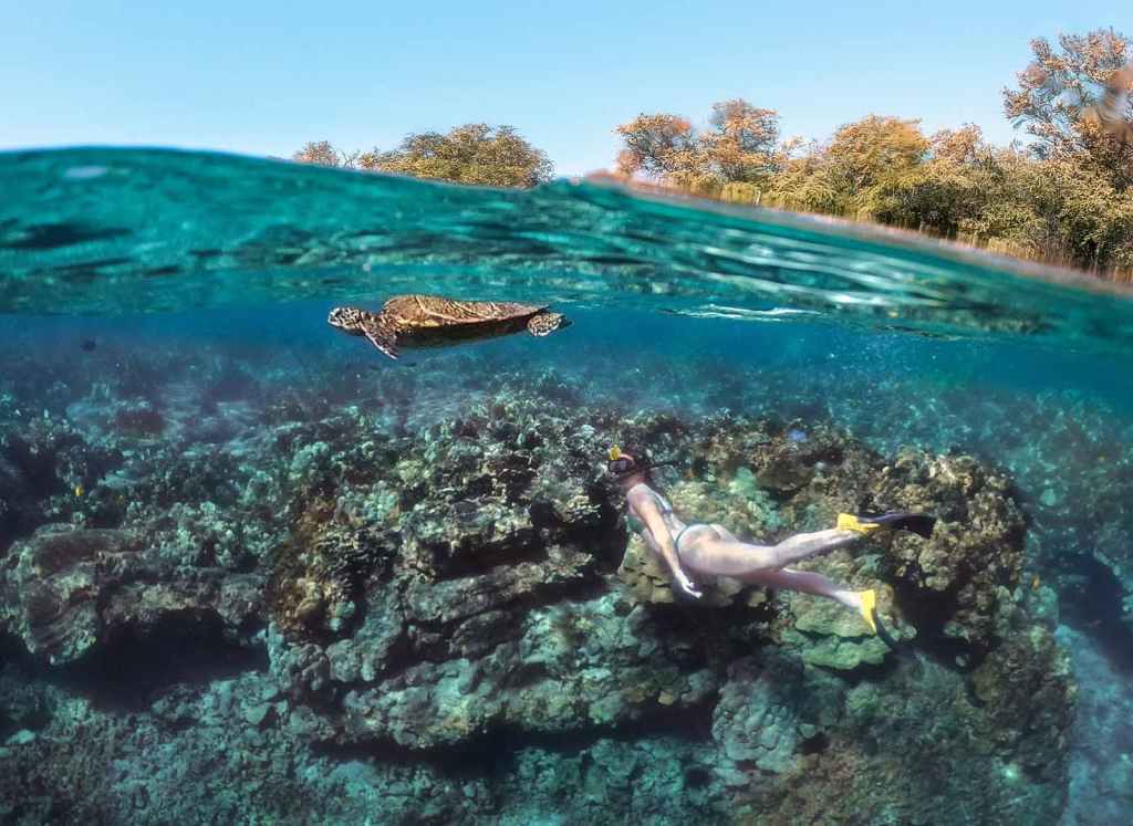 30+ Big Island Captain Cook Snorkeling&nbsp;Package