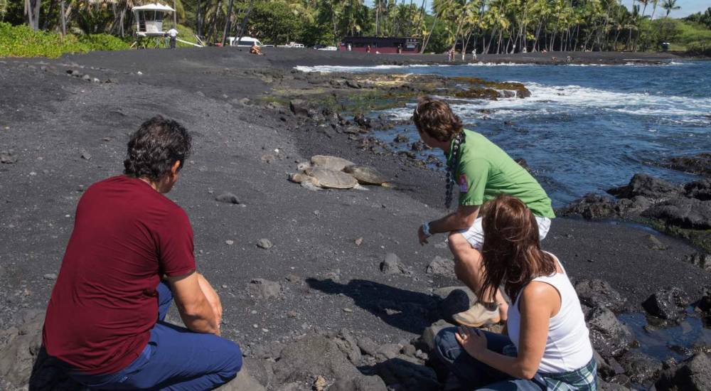 Best Big Island Full Circle&nbsp;Tour