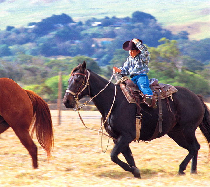 Amazing Big Island Hawaii Family Activities