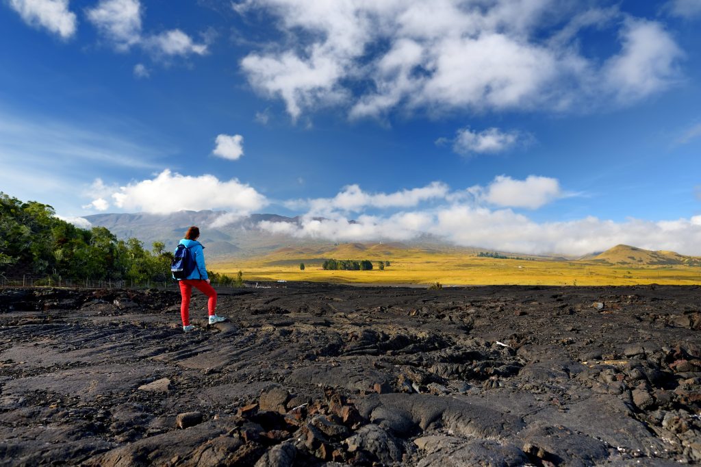 Exploring Big Island Farms To Visit