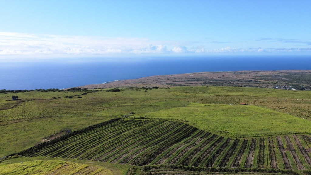 Best Coffee Farm For Sale Big Island Hawaii Package