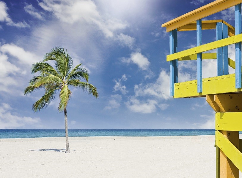 Amazing Big Island Day&nbsp;Tours