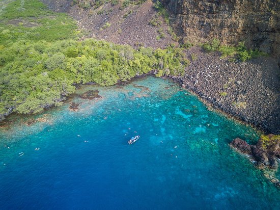 38+ Captain Cook Snorkeling&nbsp;Hawaii