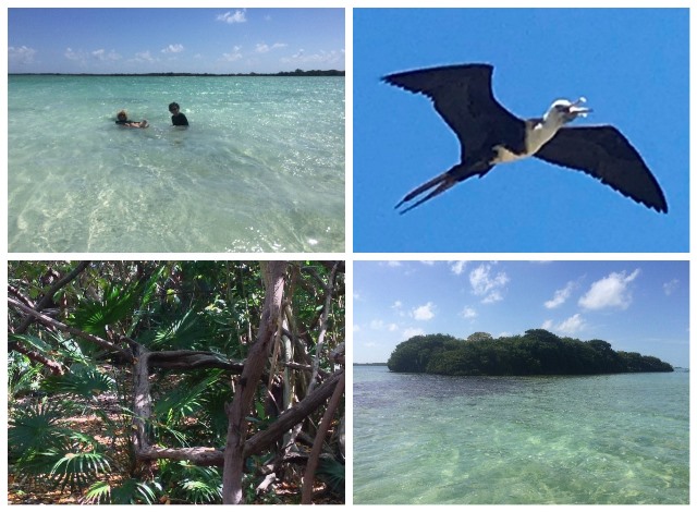 Amazing Bird Watching Tours Big Island Hawaii Packages