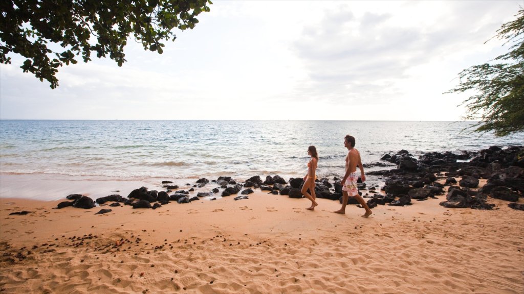 Best Vacation In Big Island Hawaii