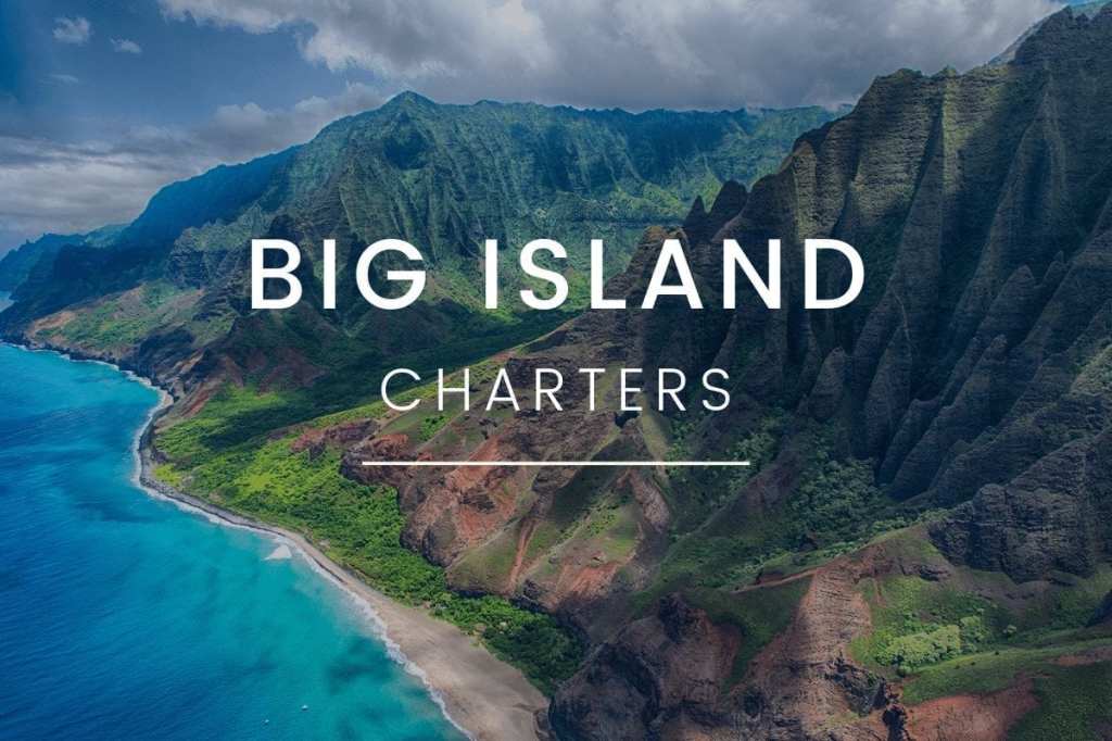 28+ Big Island Tour Bus Packages