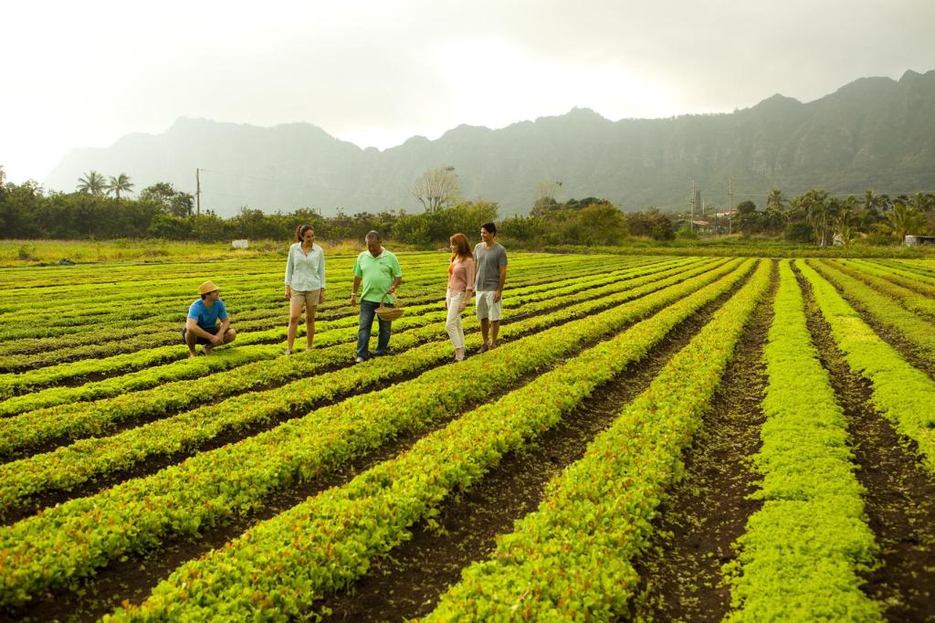 Big Island Hawaii Farm Tours Package