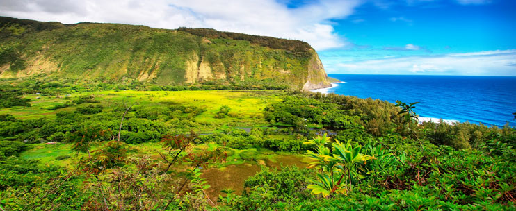 Amazing Sightseeing In Hawaii Big Island Package