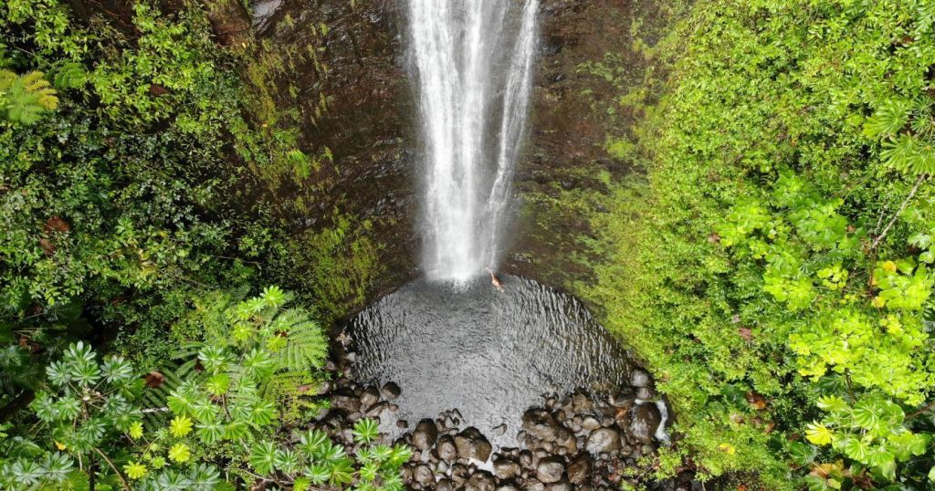 Exploring Kona Coffee Tour Oahu&nbsp;Package