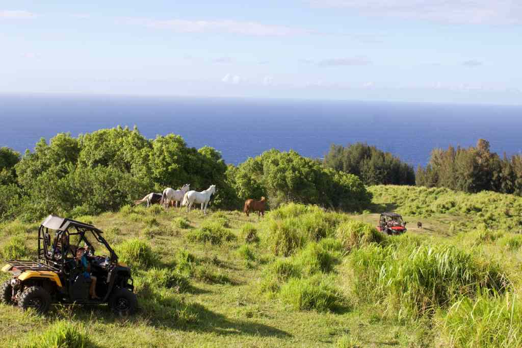 Exploring Utv Tours Big Island&nbsp;Packages