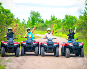 39+ Atv Rental Big Island Packages