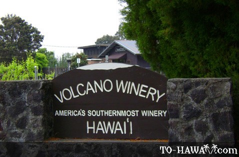 41+ Big Island Volcano Winery Packages