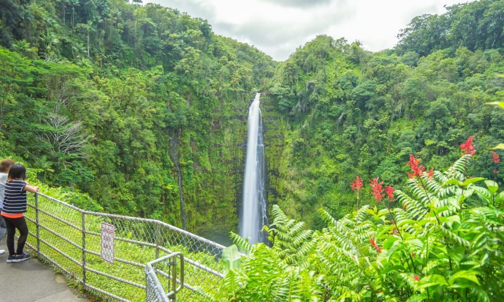 Amazing Big Island Rainforest Tour Packages