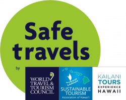 11+ Big Island Volcano Self Tour&nbsp;Packages
