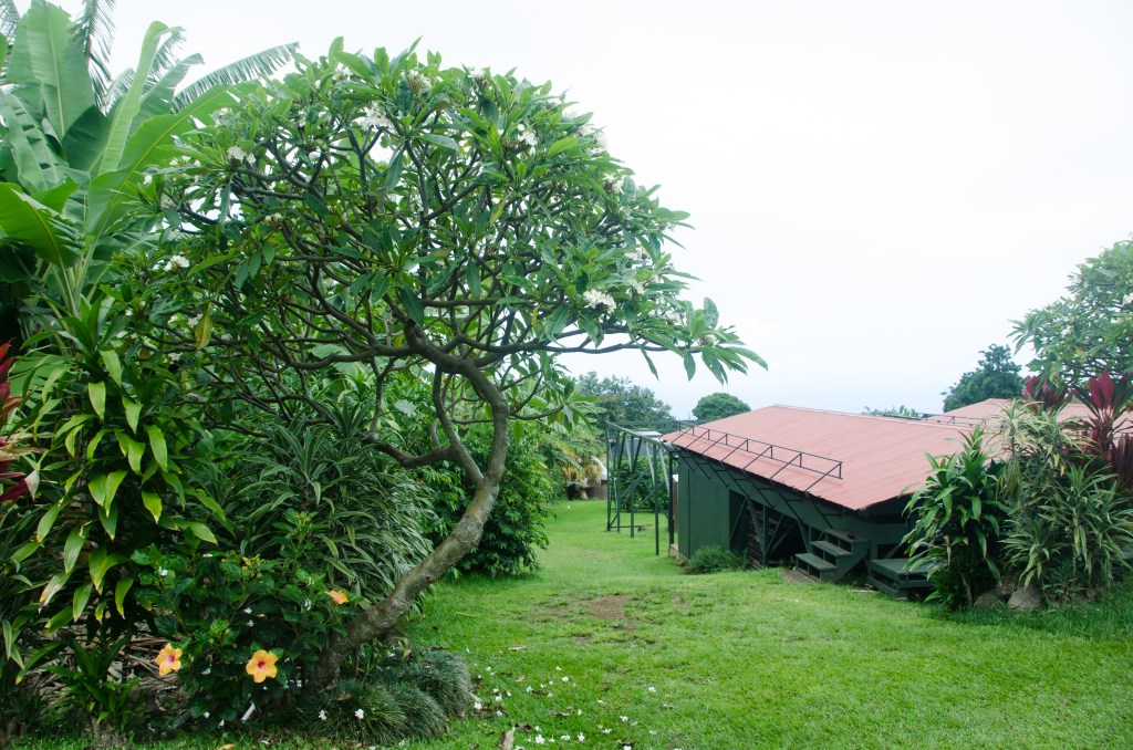 38+ Hawaii Big Island Coffee&nbsp;Tour