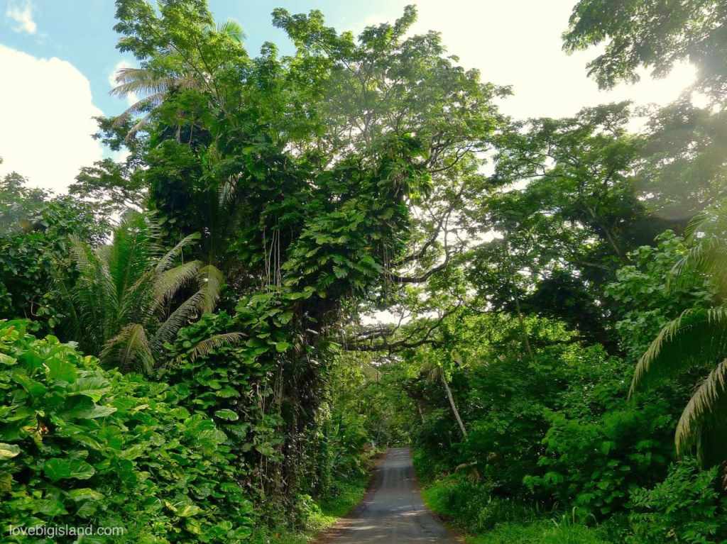 23+ Big Island Motorcycle Routes&nbsp;Packages