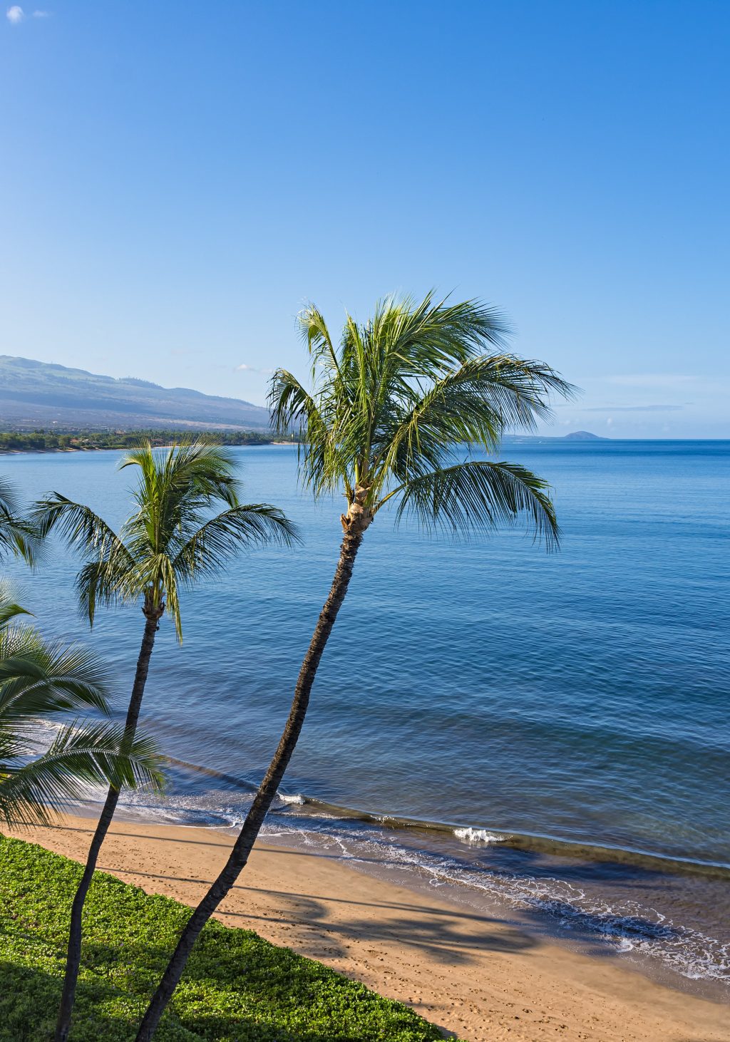 39+ Is Hawaii Big Island Safe To Travel&nbsp;Package
