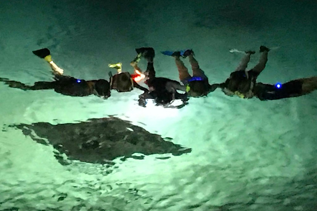 Amazing Best Manta Ray Tours Kona Package