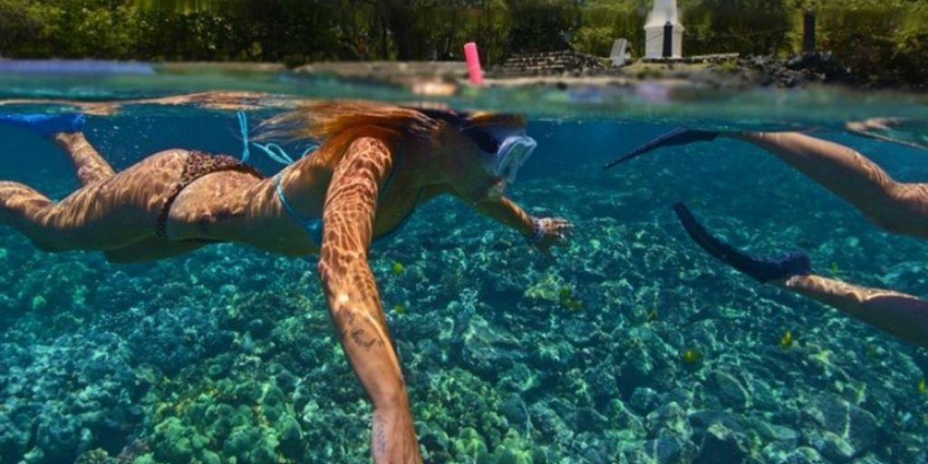 Amazing Big Island Snorkeling Tour