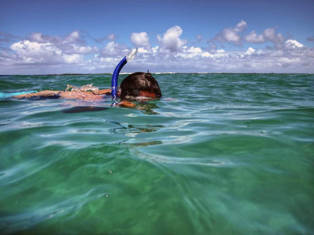 43+ Snorkeling Tours On The Big&nbsp;Island