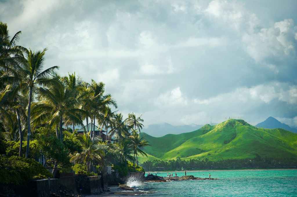 24+ Are There Travel Restrictions To Hawaii Right Now
