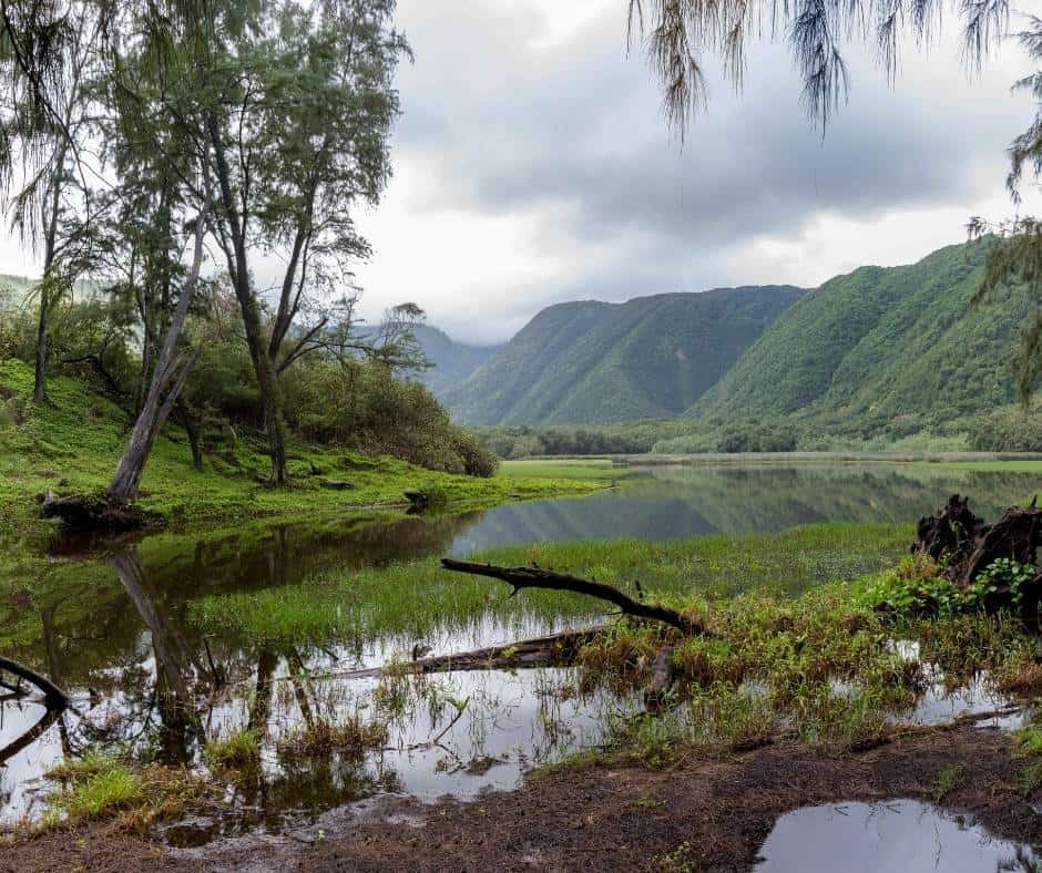 Amazing Big Island Atv Tour Above Waipio Valley Package