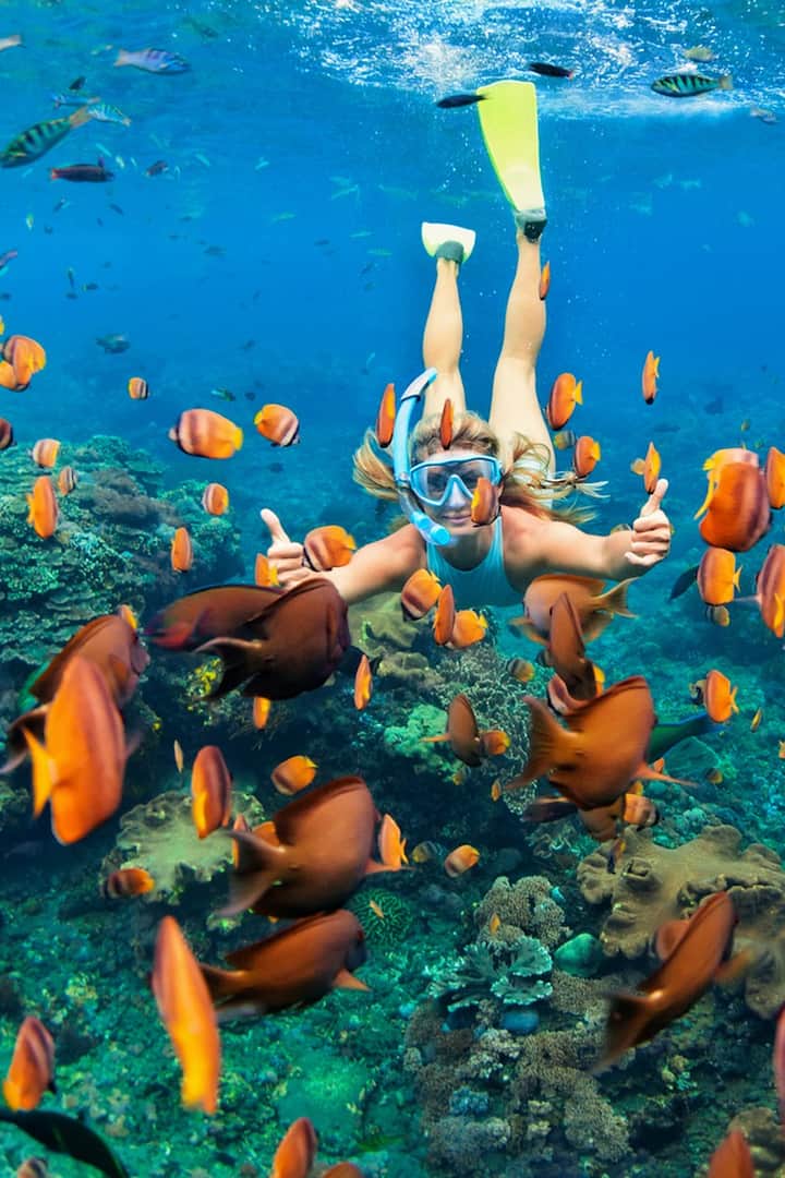 18+ Captain Cook Monument Snorkeling Boat Tour&nbsp;Package