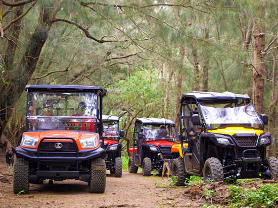 Amazing Atv In Kona Hawaii Packages