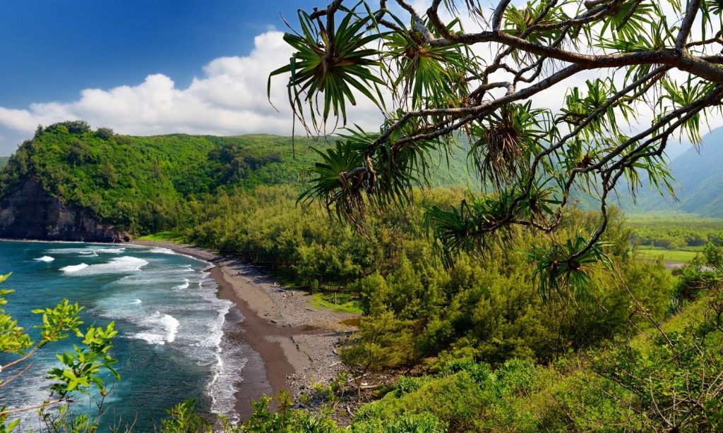 13+ Day Tours Big Island Hawaii
