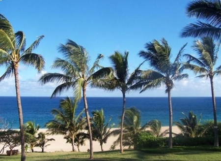 Best Monthly Vacation Rentals Big Island Hawaii&nbsp;Packages