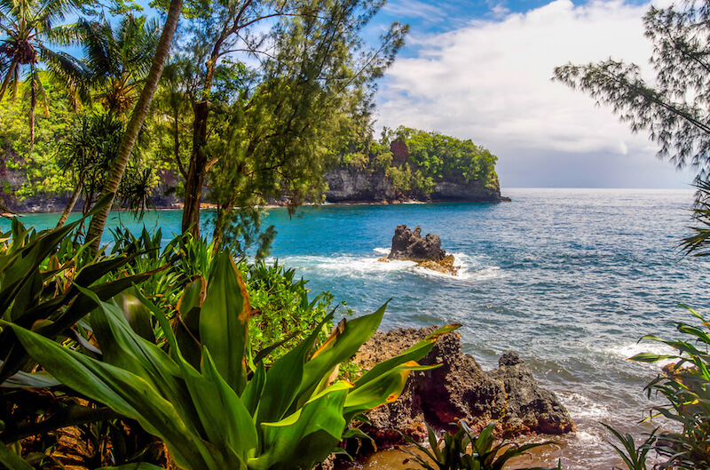 Exploring Big Island Hawaii Winery Tours&nbsp;Package