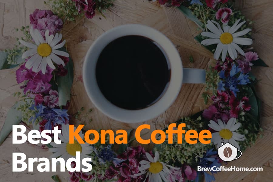 Best Best Kona Coffee Farm Tour