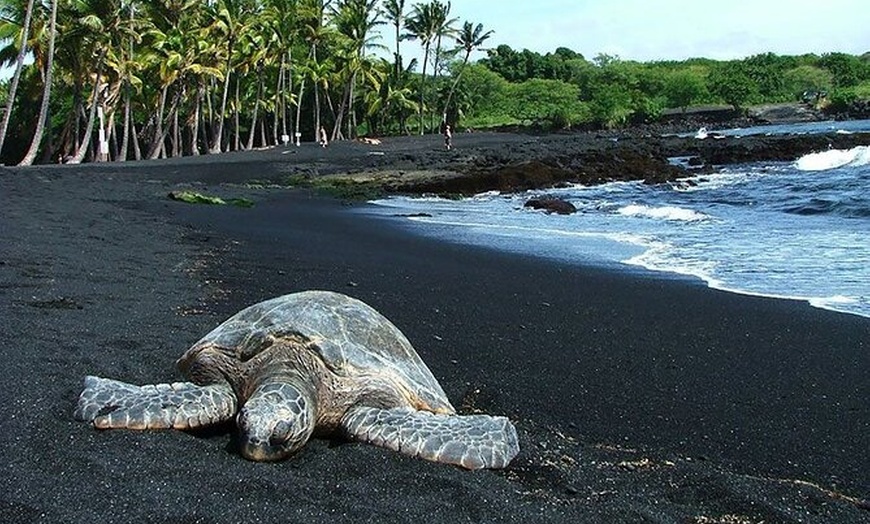 47+ Big Island Tour Guide&nbsp;Packages