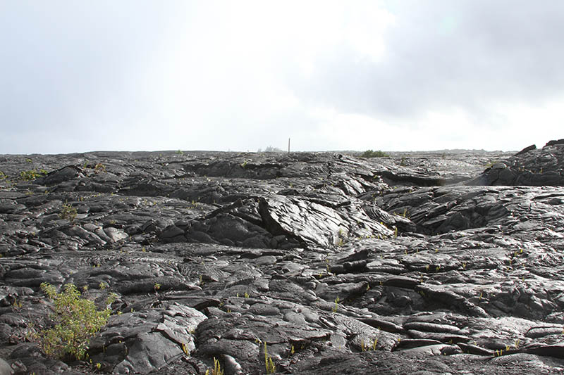 Exploring Big Island Tours To Pearl Harbor Package