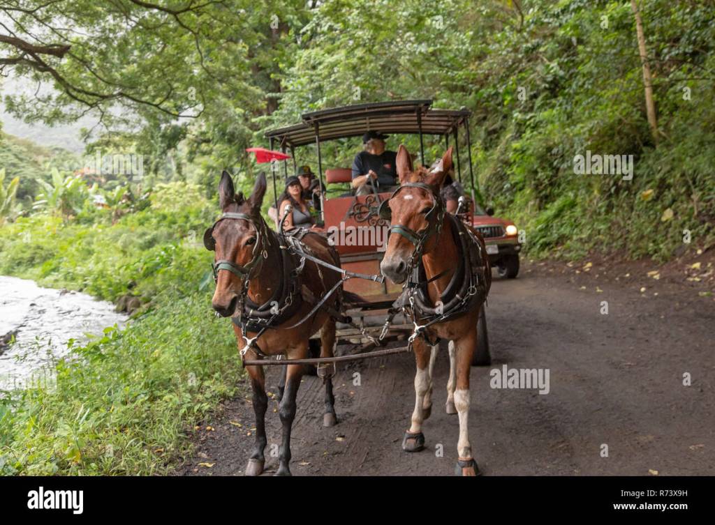 45+ Wagon Tours Big Island Hawaii&nbsp;Packages