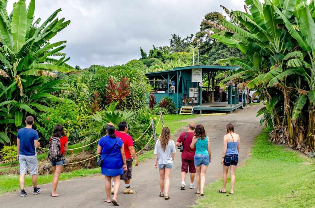 14+ Big Island Hawaii Private&nbsp;Tours