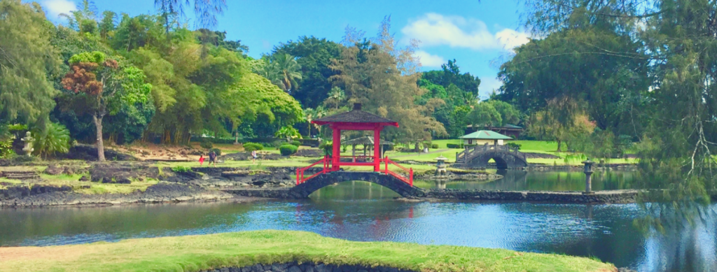 Best How To Travel To Big Island Hawaii